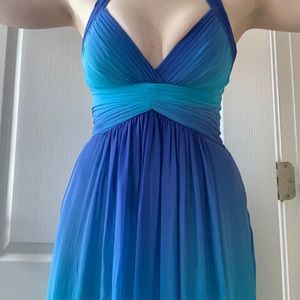 Breathtaking Blue Ombré BCBG Gown Size 2